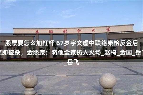 股票要怎么加杠杆 67岁宇文虚中联络秦桧反金后随即被杀，金熙宗：将他全家扔入火场_赵构_金国_岳飞