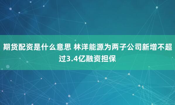 期货配资是什么意思 林洋能源为两子公司新增不超过3.4亿融资担保