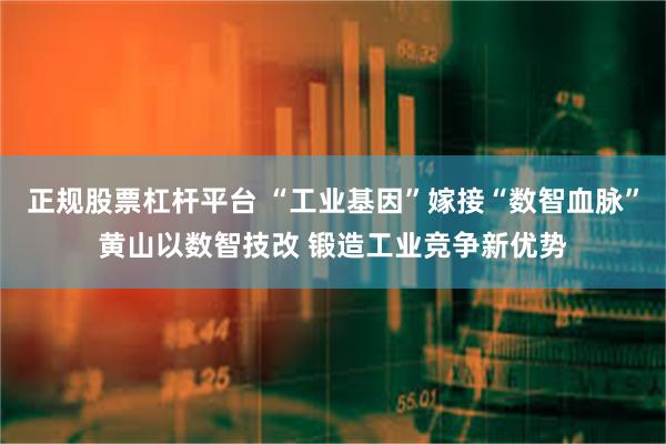 正规股票杠杆平台 “工业基因”嫁接“数智血脉”黄山以数智技改 锻造工业竞争新优势