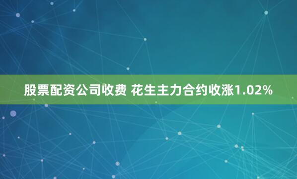 股票配资公司收费 花生主力合约收涨1.02%