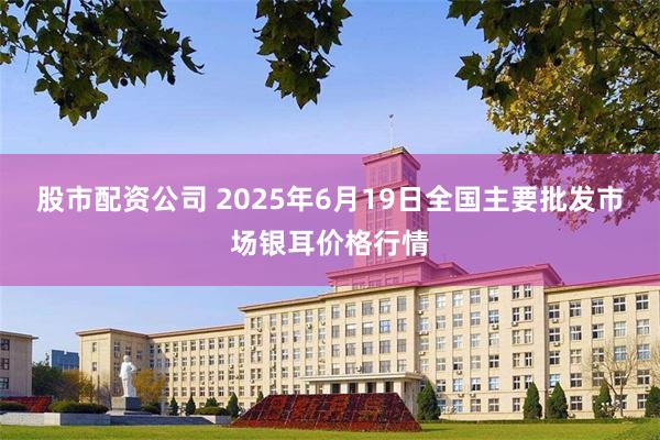 股市配资公司 2025年6月19日全国主要批发市场银耳价格行情