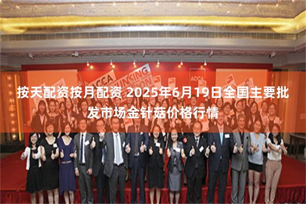 按天配资按月配资 2025年6月19日全国主要批发市场金针菇价格行情