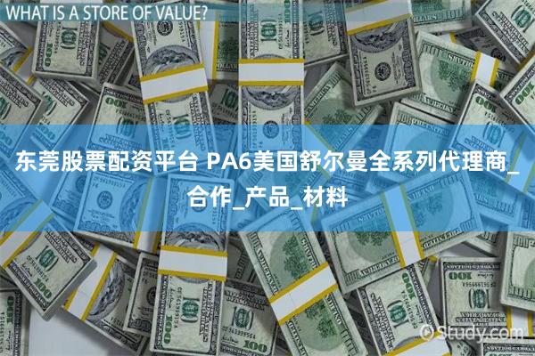 东莞股票配资平台 PA6美国舒尔曼全系列代理商_合作_产品_材料