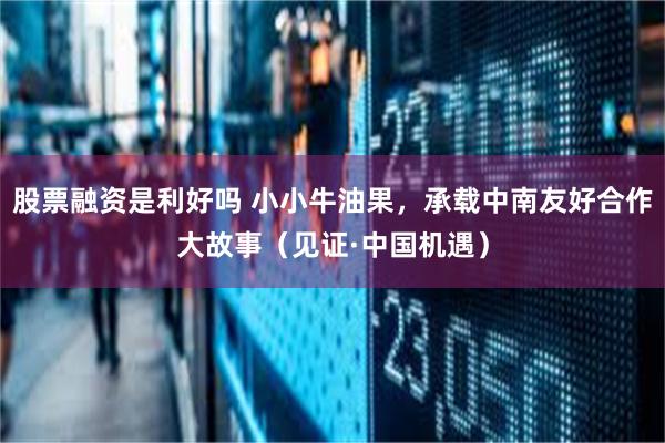 股票融资是利好吗 小小牛油果，承载中南友好合作大故事（见证·中国机遇）