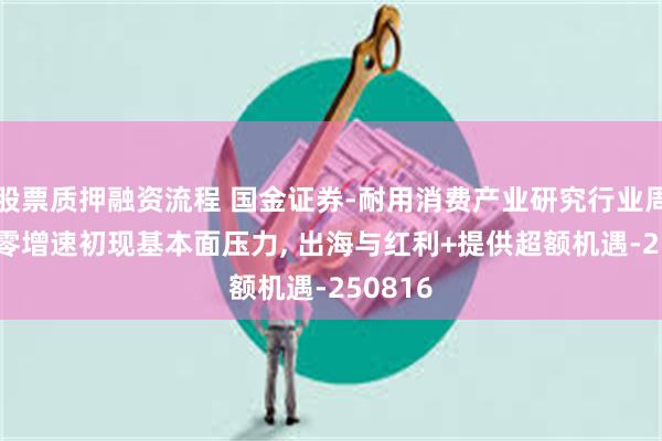 股票质押融资流程 国金证券-耐用消费产业研究行业周报: 社零增速初现基本面压力, 出海与红利+提供超额机遇-250816