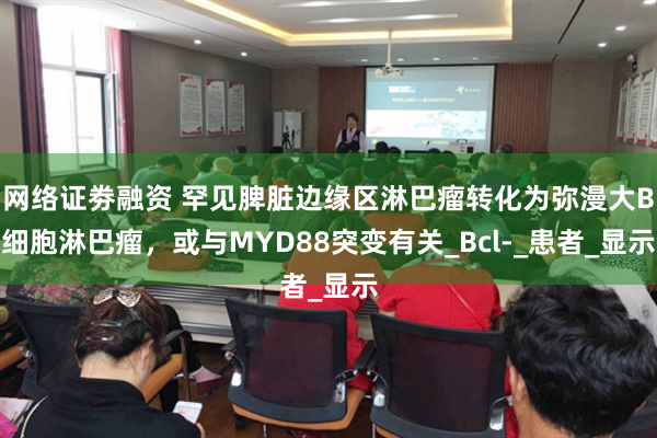 网络证劵融资 罕见脾脏边缘区淋巴瘤转化为弥漫大B细胞淋巴瘤，或与MYD88突变有关_Bcl-_患者_显示