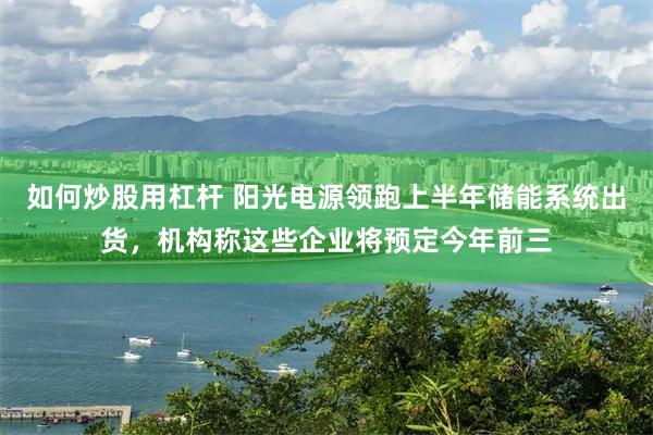 如何炒股用杠杆 阳光电源领跑上半年储能系统出货，机构称这些企业将预定今年前三