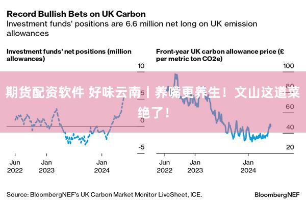 期货配资软件 好味云南丨养嘴更养生!文山这道菜绝了!