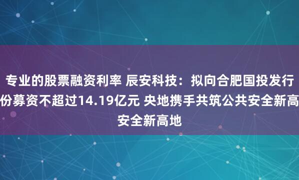 专业的股票融资利率 辰安科技:拟向合肥国投发行股份募资不超过14.19亿元 央地携手共筑公共安全新高地