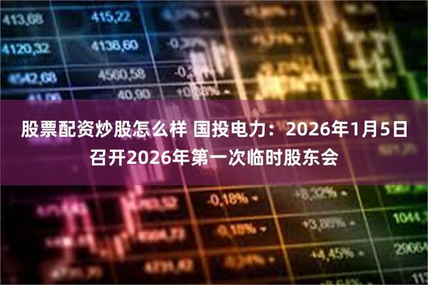 股票配资炒股怎么样 国投电力：2026年1月5日召开2026年第一次临时股东会
