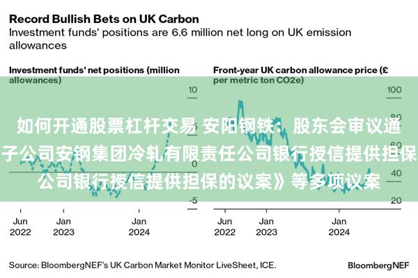 如何开通股票杠杆交易 安阳钢铁：股东会审议通过《关于公司为控股子公司安钢集团冷轧有限责任公司银行授信提供担保的议案》等多项议案